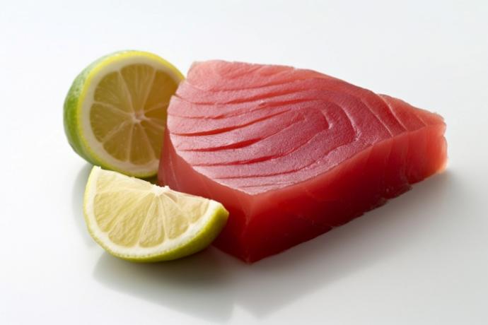 fresh fish freezing with Nordic lab ULT XLT freezerszers